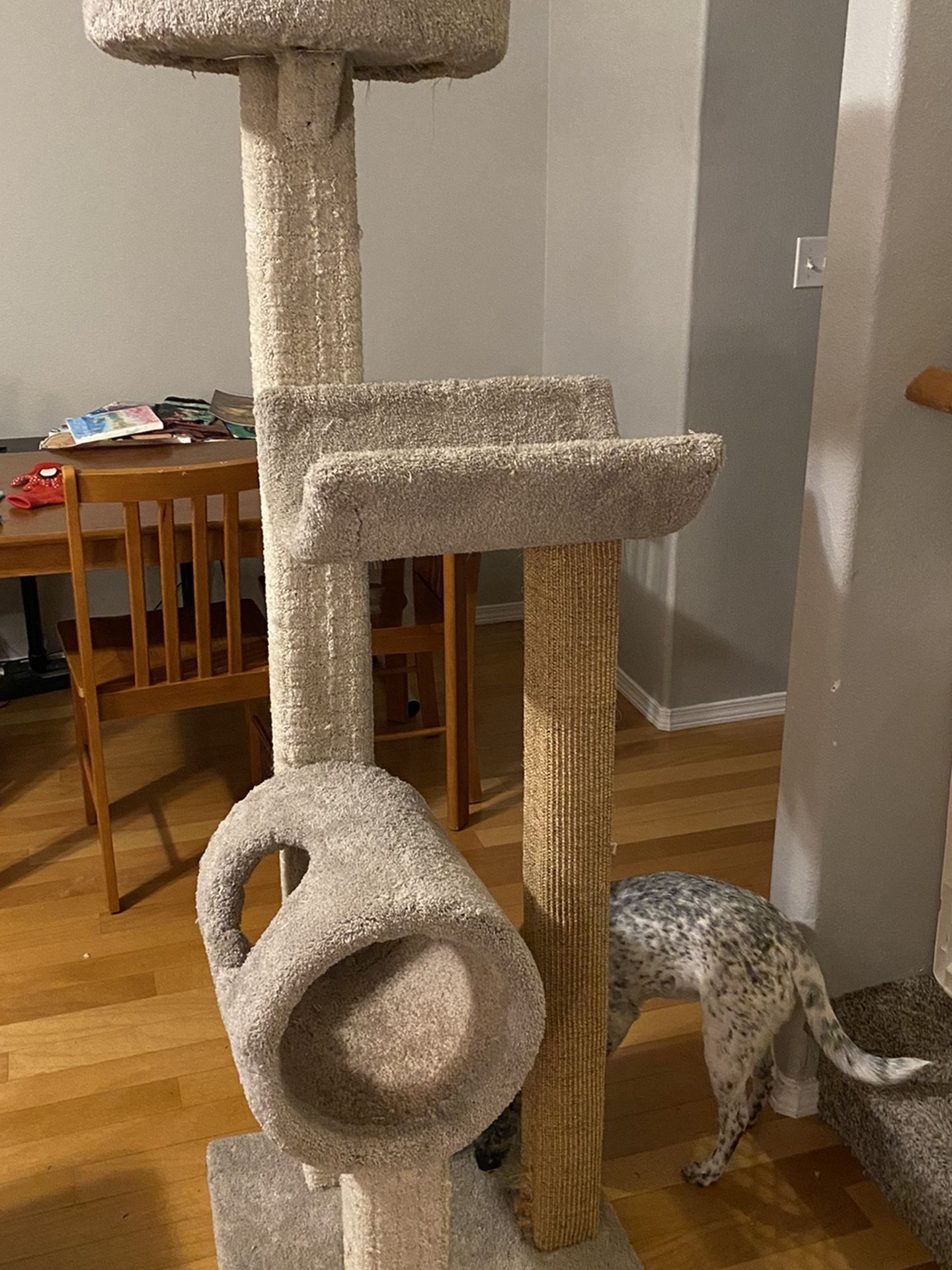 Barely Used Cat Tree