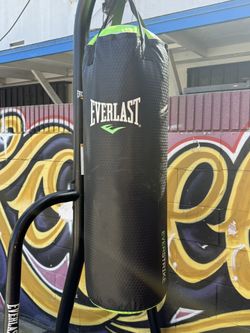 Everlast Punching Bag