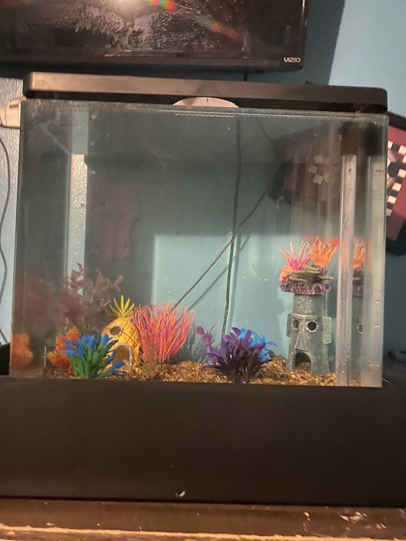 Fish tank