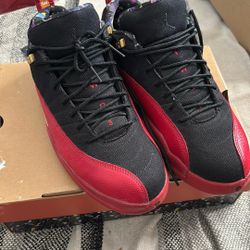 Air Jordan 12s Super Bowl
