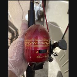 Fishing Rods Reels Combo