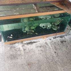 100gal Fish Tank 