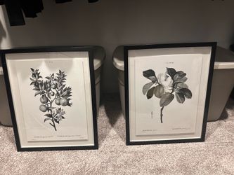 Botanical Print Wall Art Set of 2