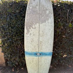 5’6 Round Nose Fish