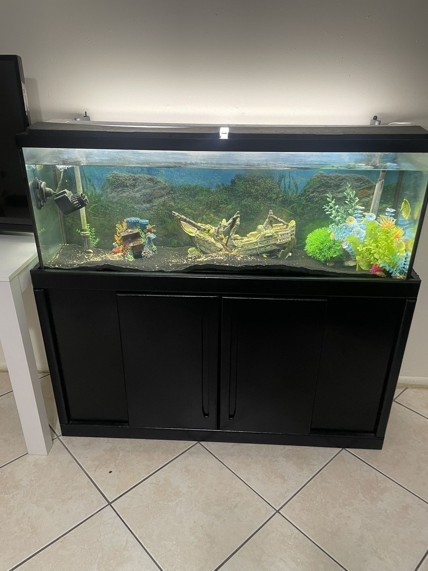 Fish Tank
