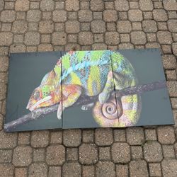Iguana Wall Art