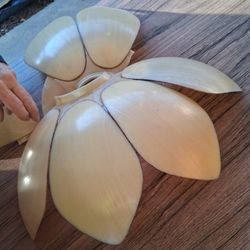 FREE Antique Celluloid Lamp