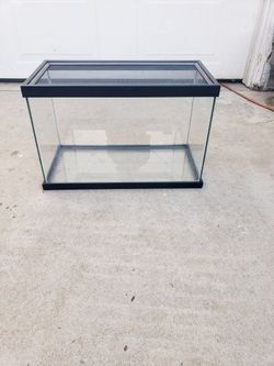 Reptile Aquarium Tank