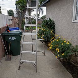 8 Ft Ladder