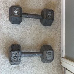 Weights 20lbs