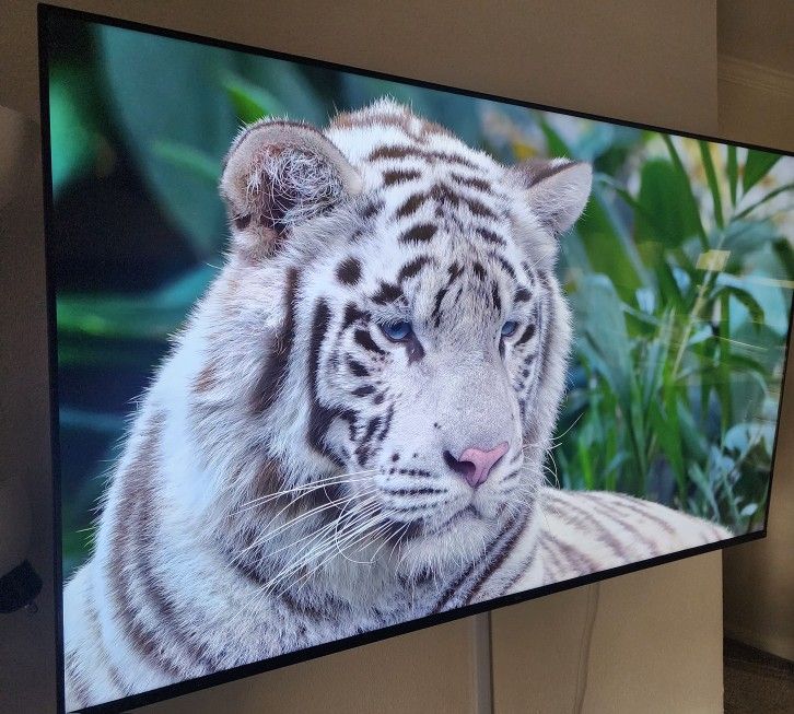 65" Qled TCL TV