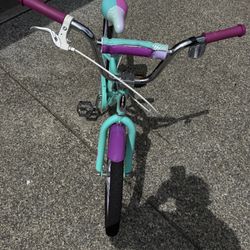 Girls Bicycle 20” Schwinn