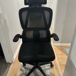 Ergonomic Office Chair