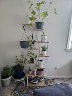 Plant Stand Wt Built In Grow Lights, Timer,dimmer.