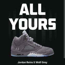 Wolf grey 5