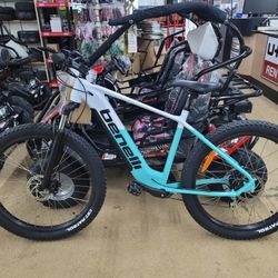 500 Watt Electric Bike.