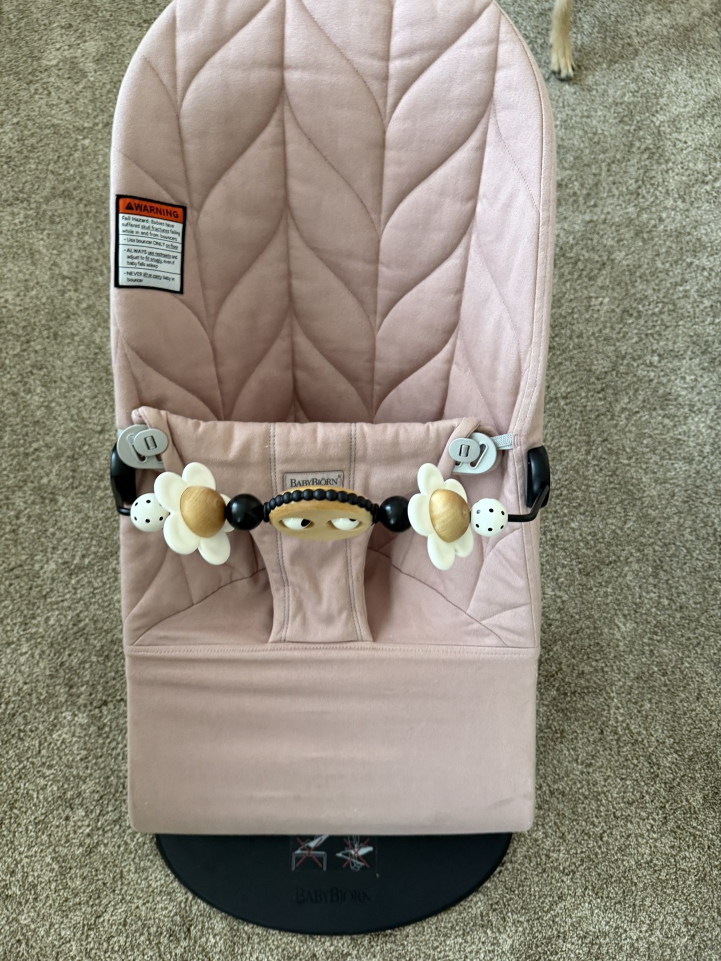 Baby Bjorn Bouncer