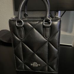 Small Coach Purse