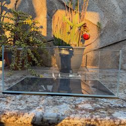 UNS 45S Rimless Fish Tank / Aquascape / Aquarium