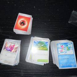 Pokemon Bulk