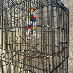 Bird Cage