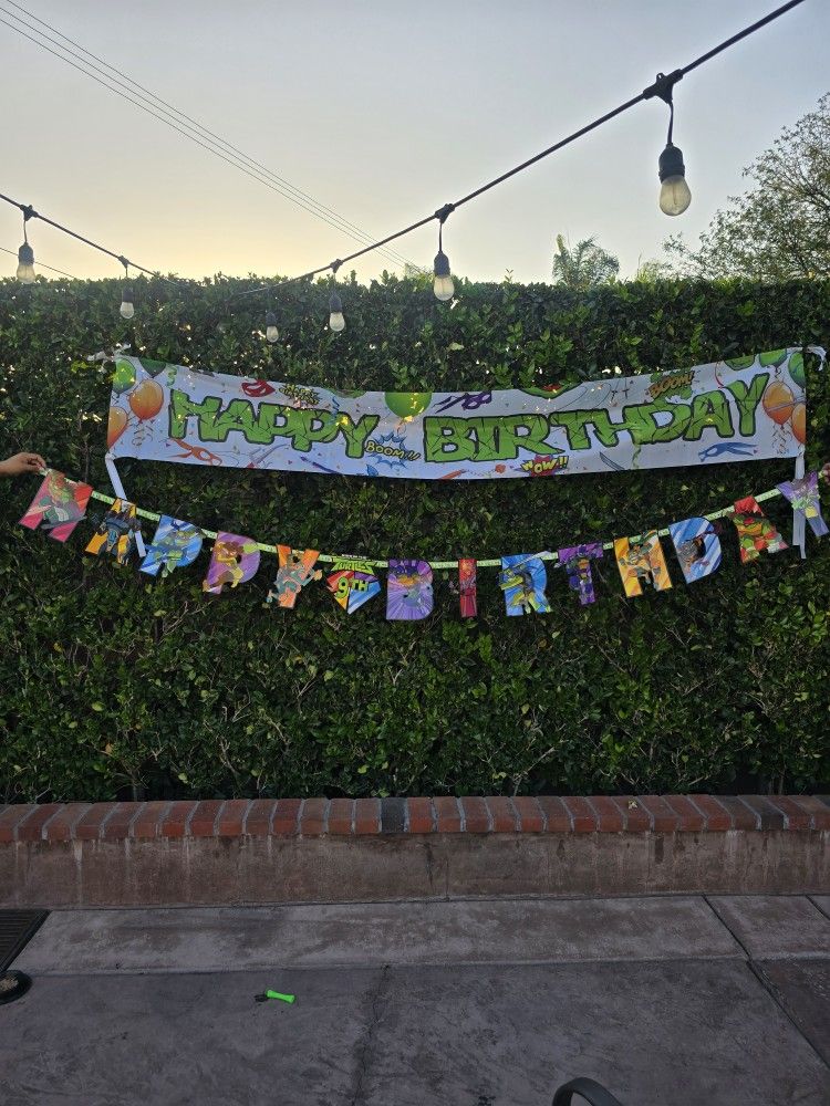 Ninja Turtle Party Decorations