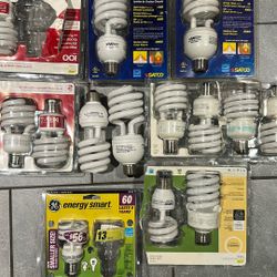 Light Bulbs 