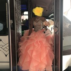 Gorgeous Mori Lee Quinceañera Dress