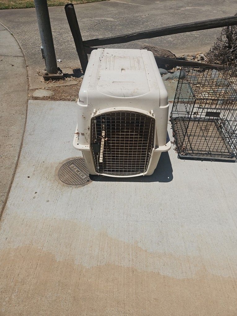 Large Plastic Kennel