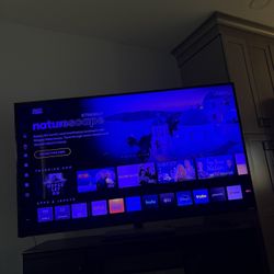 65in tv