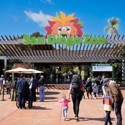 San Diego Zoo / Safari Park Tickets & Coupons