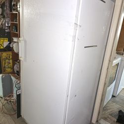 Large Upright Freezer