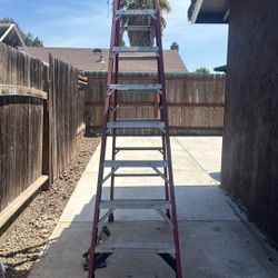 Werner Ladder 