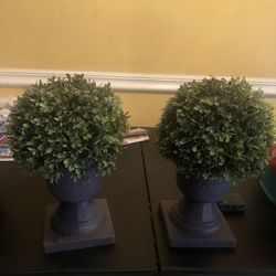 Flower With Fairy Lights Inside