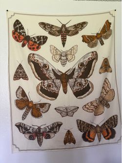 Cloth moth tapestry