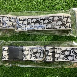 Dior Collar And Leash And Harness 