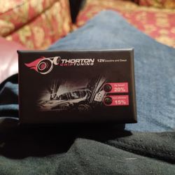 Thornton Chip Tuning