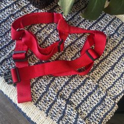 dog harness