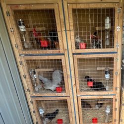 6 Tier Cage For Animals Very Nice And Space ish 