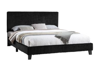 Queen Bed With Mattress Included!