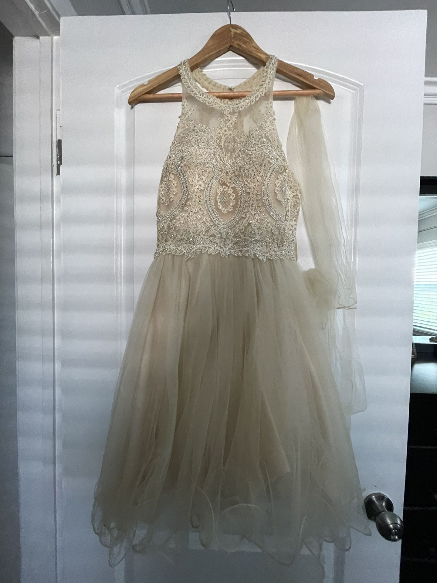 Champagne Colored Dress