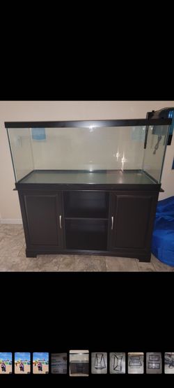 Tank, Stand, filter system