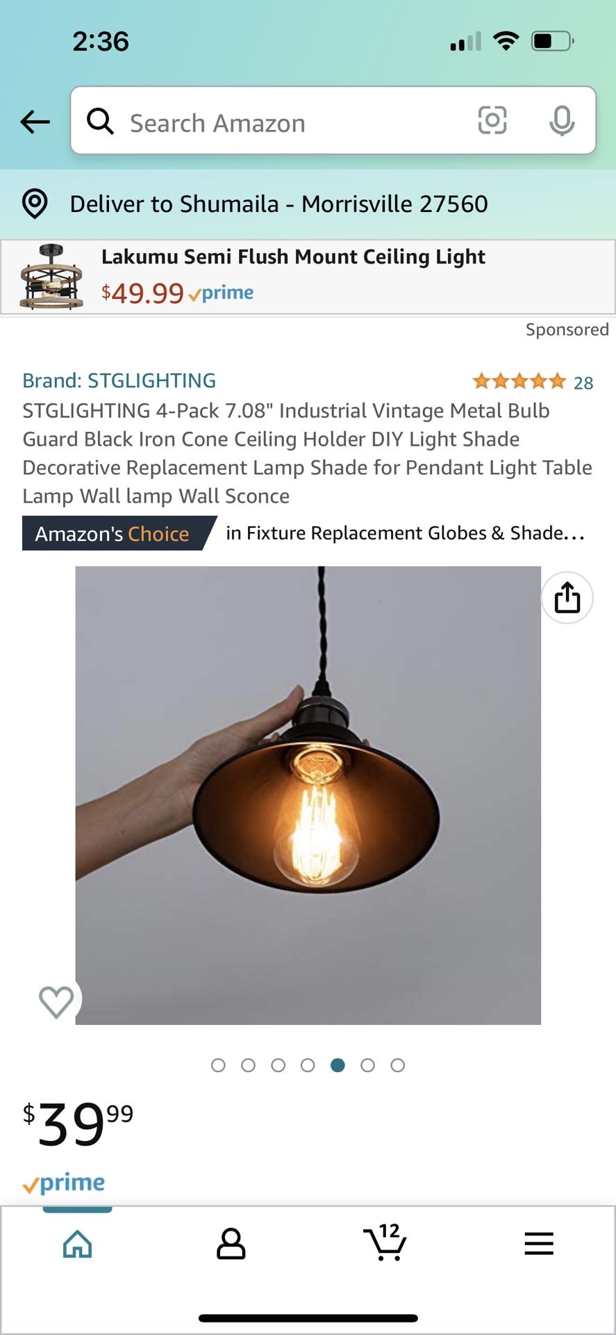 STGLIGHTING 4-Pack 7.08" Industrial Vintage Metal Bulb Guard Black Iron Cone Ceiling Holder DIY Light Shade Decorative Replacement Lamp Shade for Pend