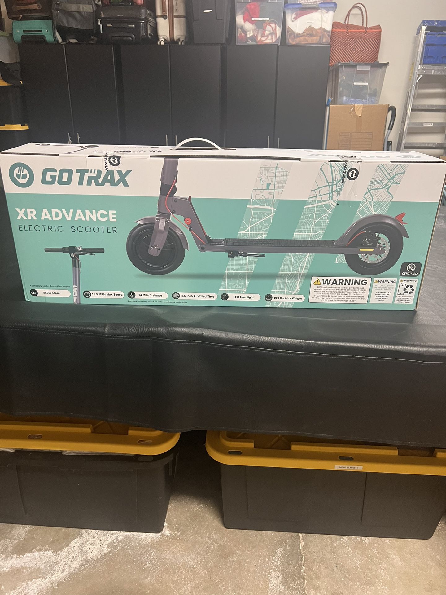 GoTrax Scooter