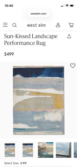 West Elm rug 6x9