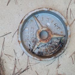 Deep Dish 25lb Iron Plate