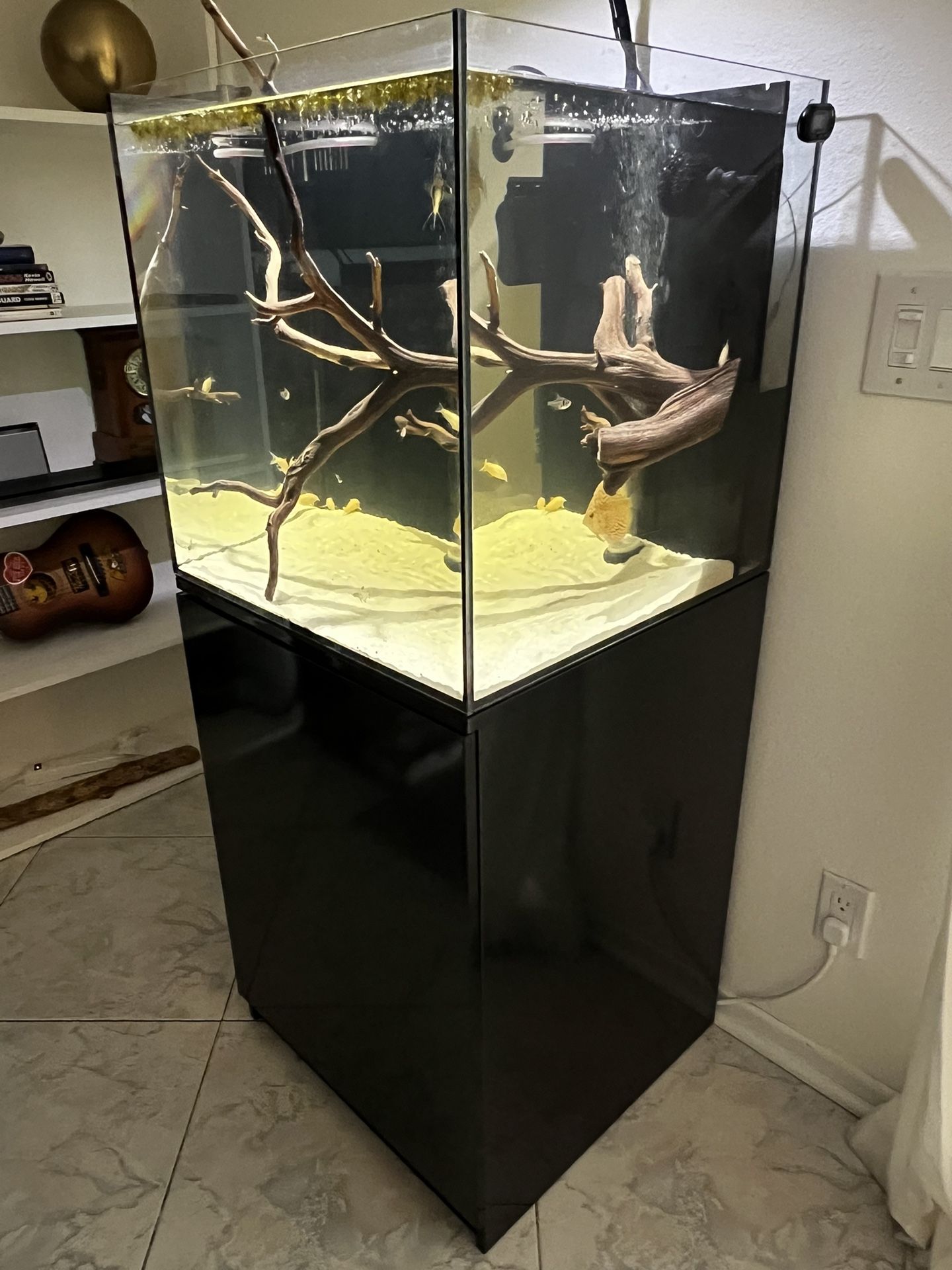 Aquatop Recife 40 + Kraken Top Lid