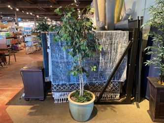 Artificial White Wood Ficus Tree with Blue Clay Pot