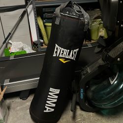 MMA Boxing Bag