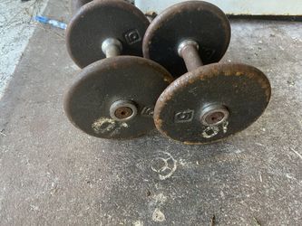 10 Lb Fixed Plate Dumbbell Pair